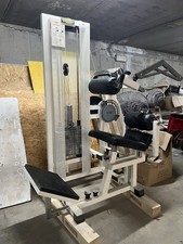 Macchina Technogym Lower Back