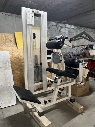 Macchina technogym lower back - macchina,