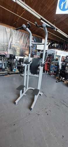 Technogym chin dip - chin, up/dip