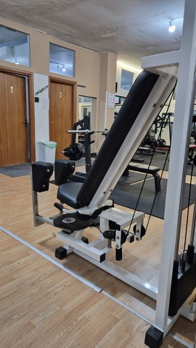 Technogym macchina - technogym,